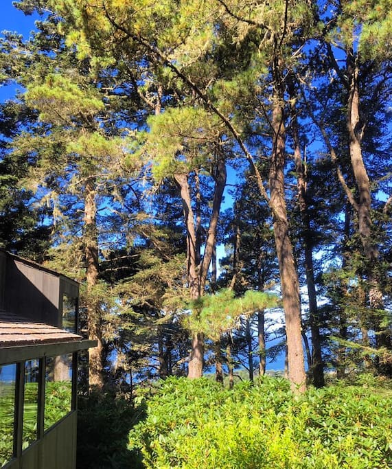 Master bedroom deck