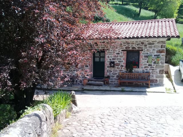 Beautiful cabin, in romantic hideaway, on the river