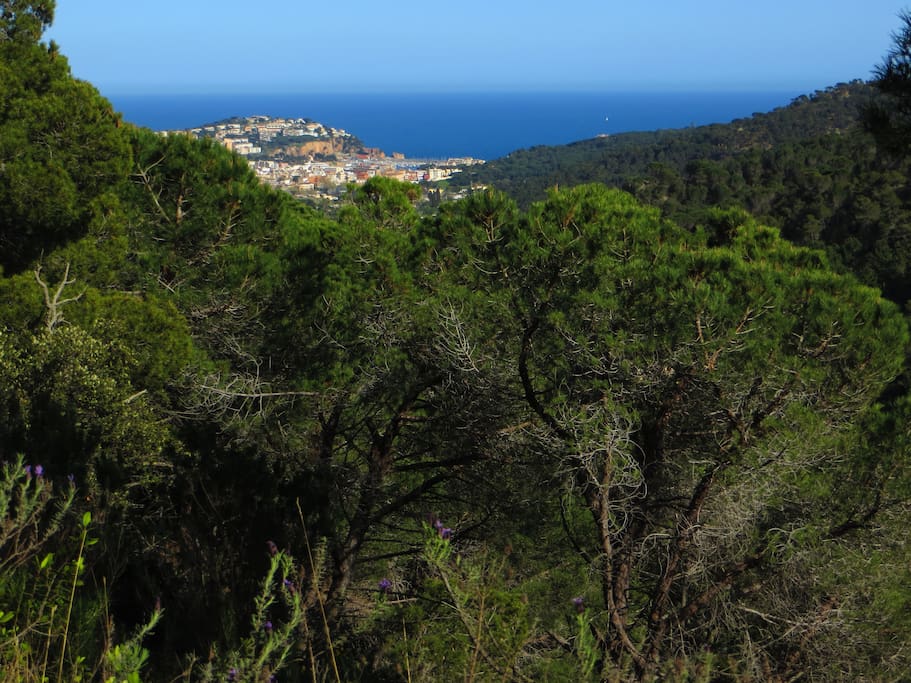 View on Sant Feliu de Guixols from the villa