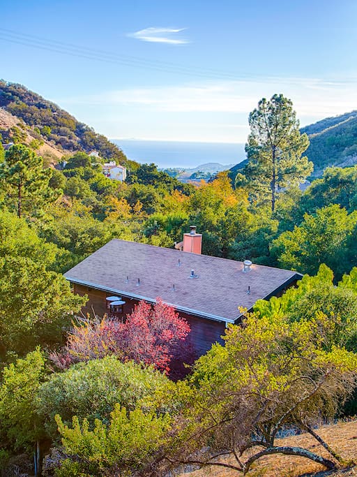 Daytime view from above the house.