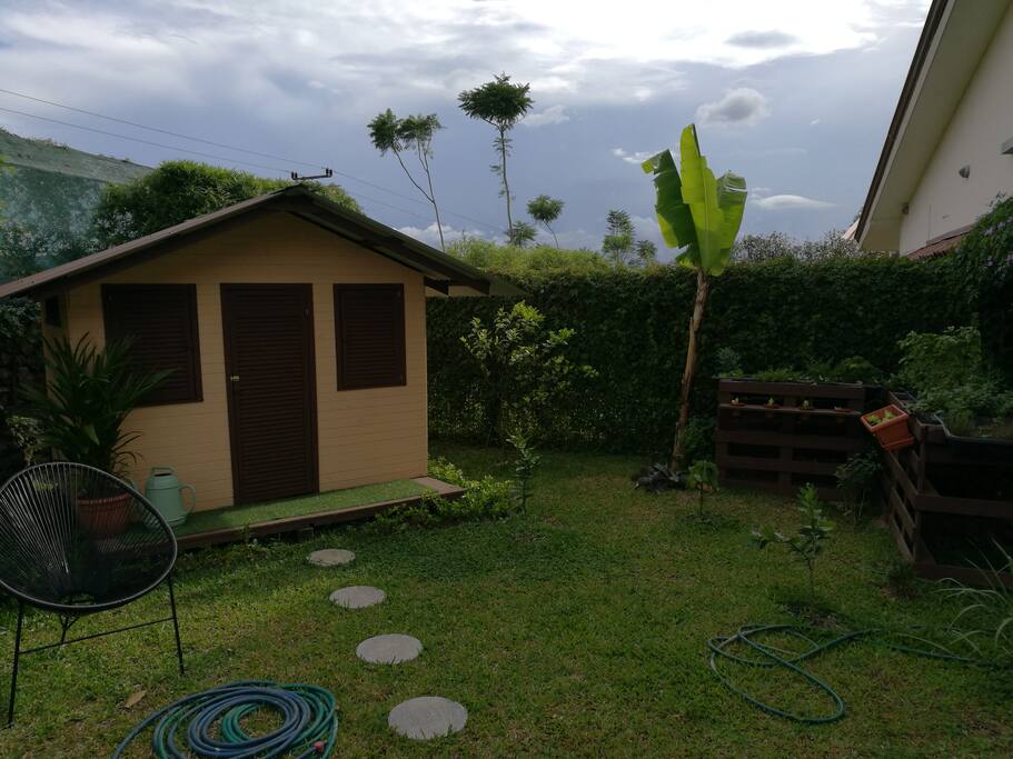 Fruit Trees and More