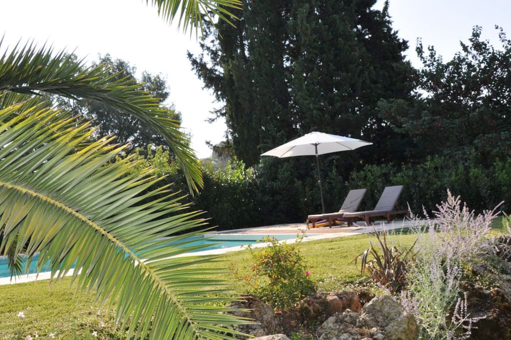 Garden and pool