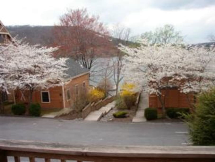 View from deck in front of house. Wooden walkway to water, dock, swimming, boat slips and more.
