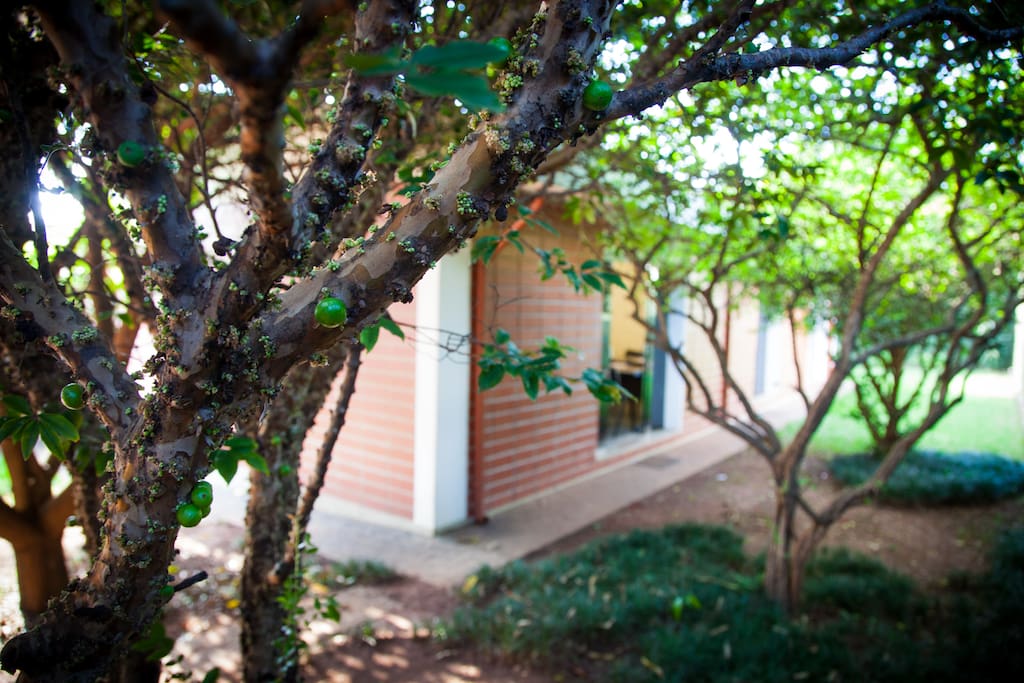Contato com a natureza próximo a entrada do quarto