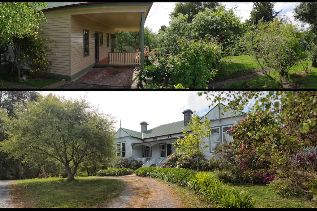 Front yard and Back yard