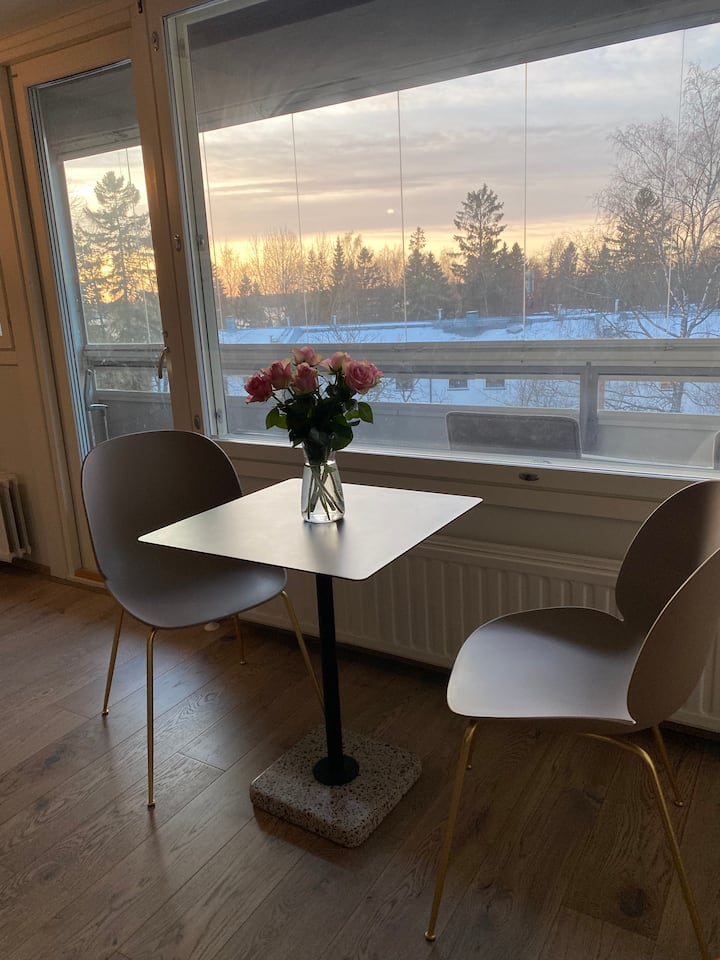 Renovated stunning studio Apartments for Rent in Helsinki, Finland