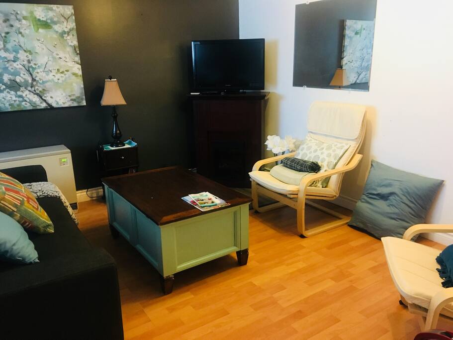 New 32” tv with Netflix . Some of Ikeas influence also in this room.
