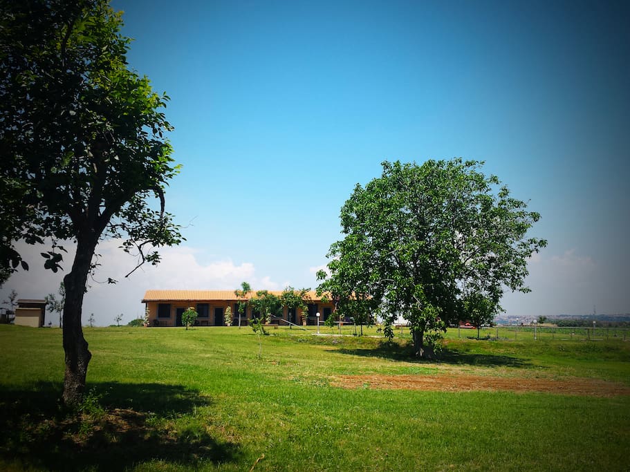 Esterno
