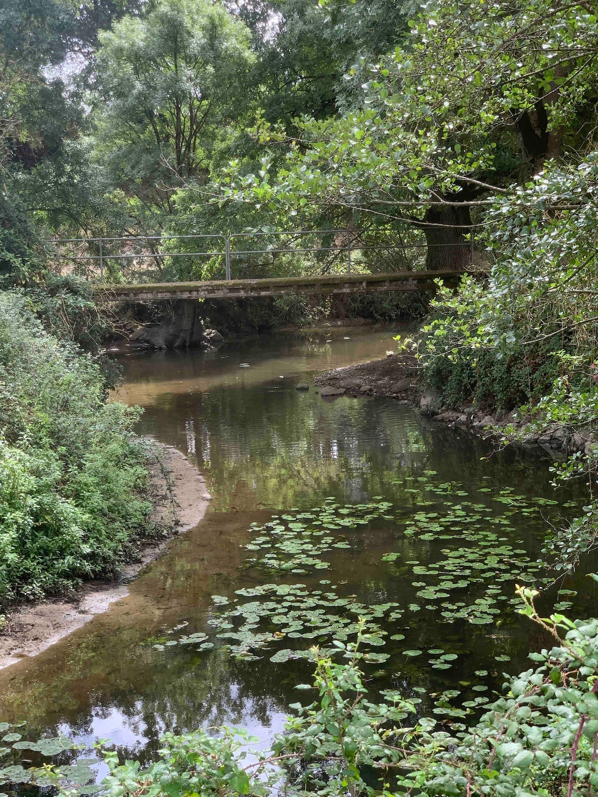 A serene stream meanders through a lush green landscape, bordered by trees and abundant foliage. A small wooden bridge spans the water, providing a connection between both sides. Lilypads float along the surface, contributing to the tranquil ambiance of the natural setting.