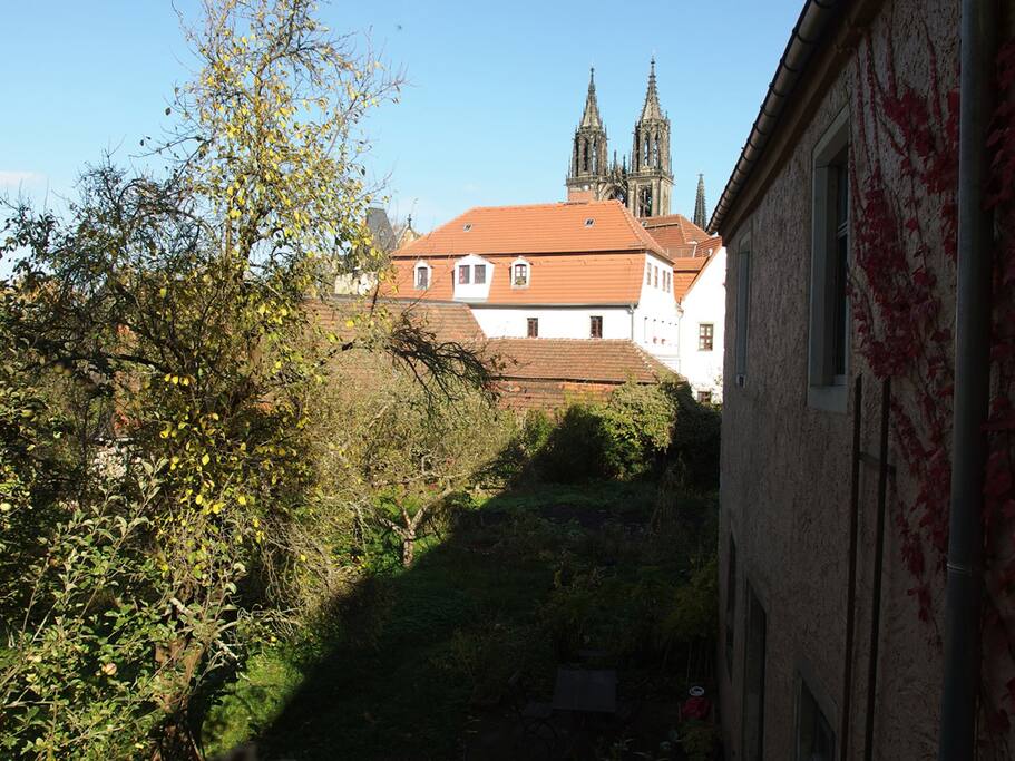 Blick in Garten