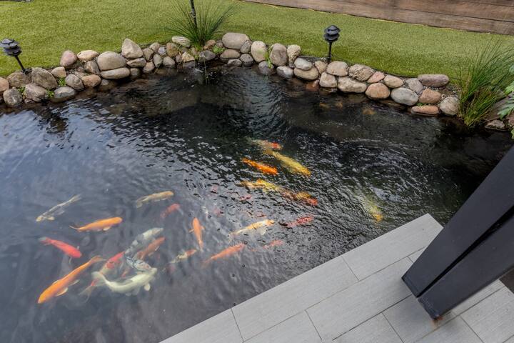 Tomoko Home – Hollywood Hills – Los Angeles gallery image 4