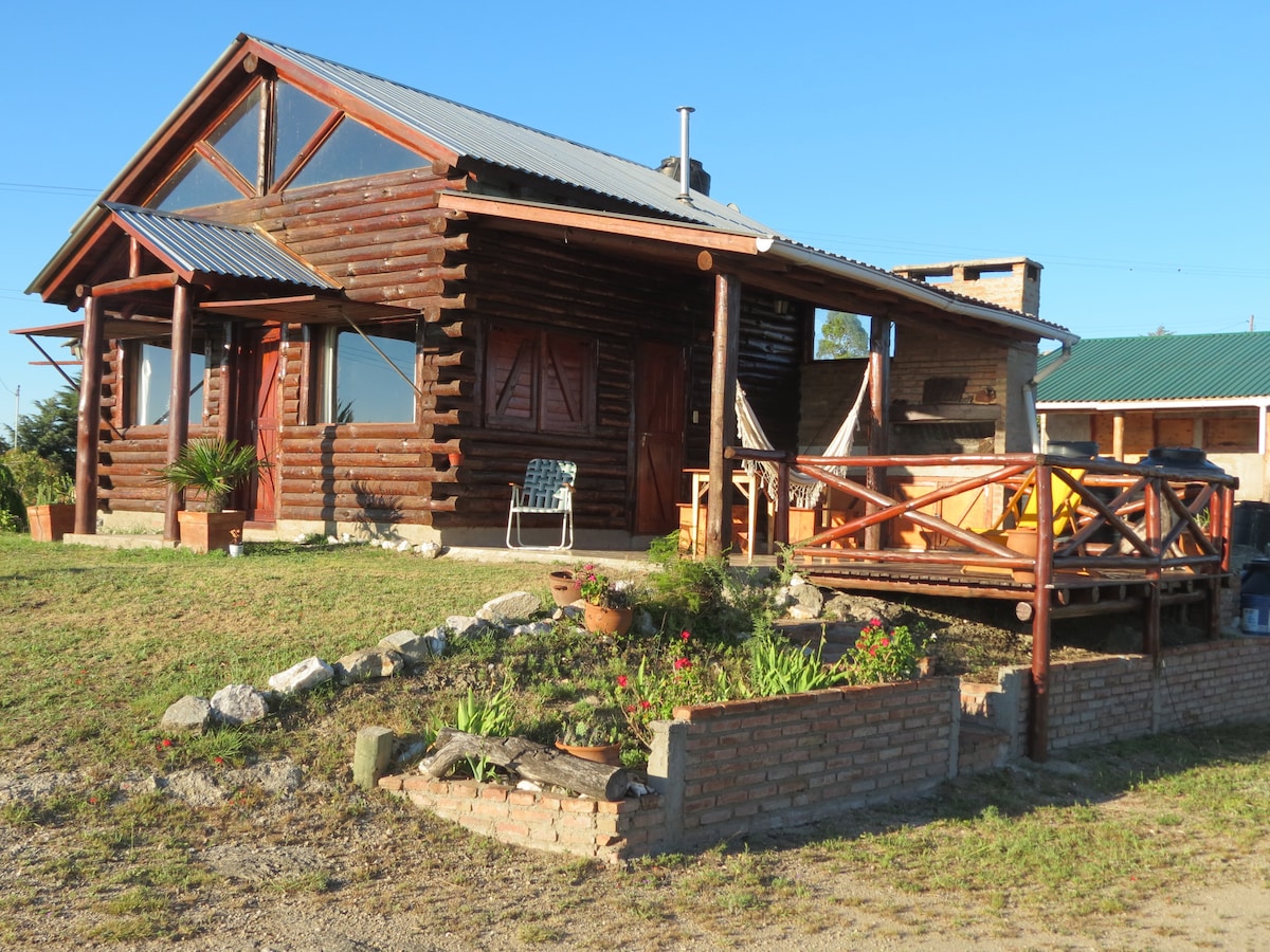 A rustic cabin constructed from timber features large windows allowing natural light to fill the interior. A spacious deck adorned with outdoor furniture overlooks a landscaped area with flowers and plants, enhancing the connection with the surrounding nature.