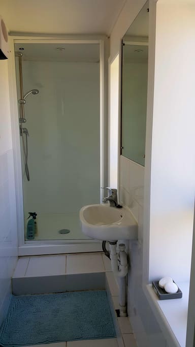 Ensuite shower and toilet
