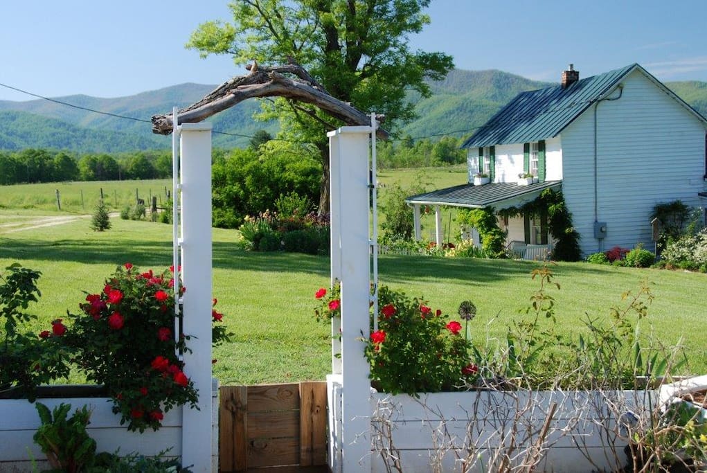 Cottage grounds and vegetable garden