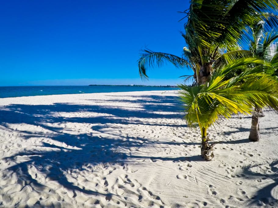 The Colibri beach