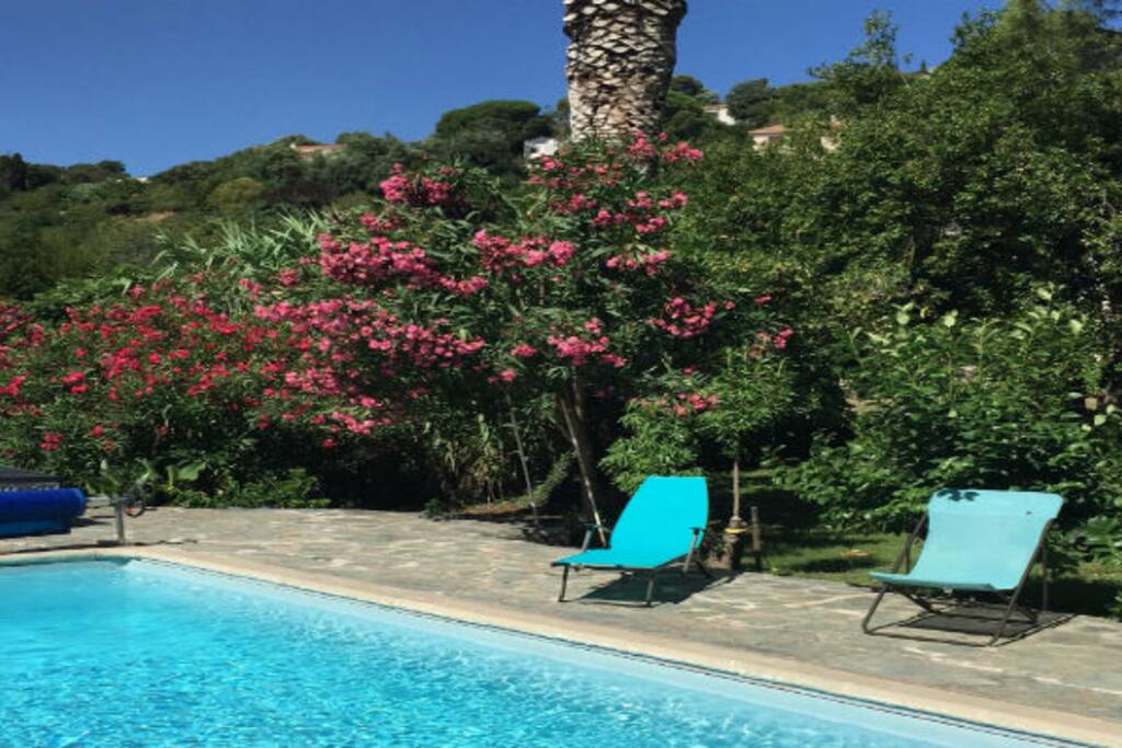 La piscine est entourée d'un grand parc.