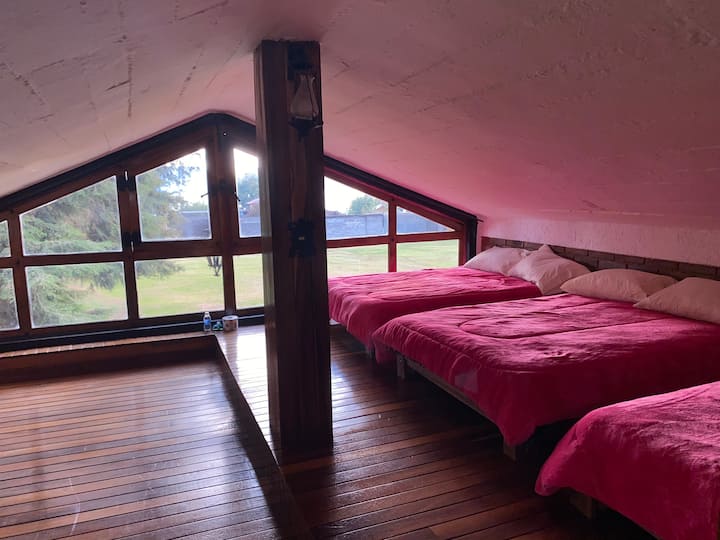 Habitación 2