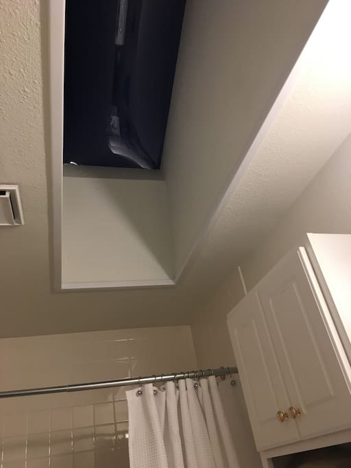 Bathroom skylight