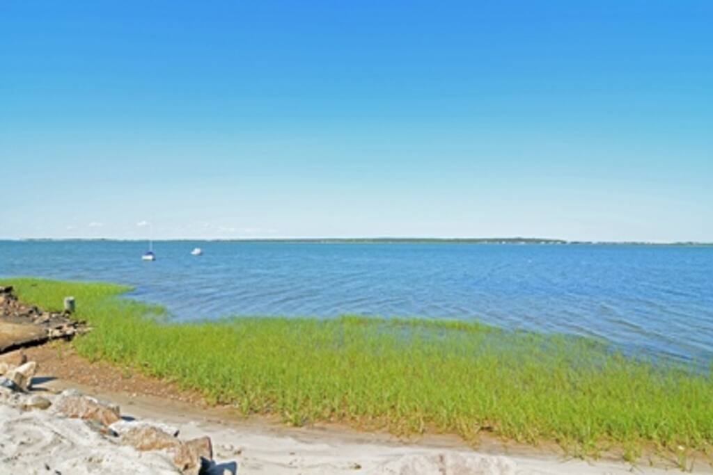 Swim, clam, wind surf