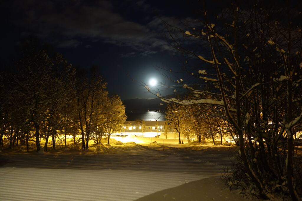 Winter time - View from the kitchen window