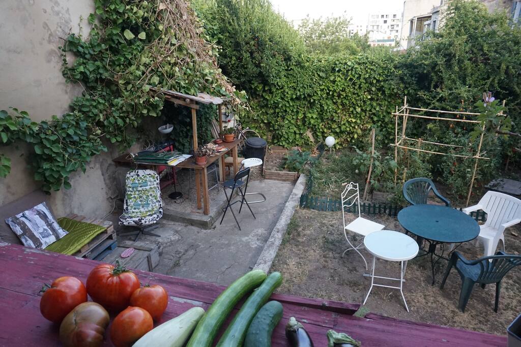 vu de la terrasse sur le potagé