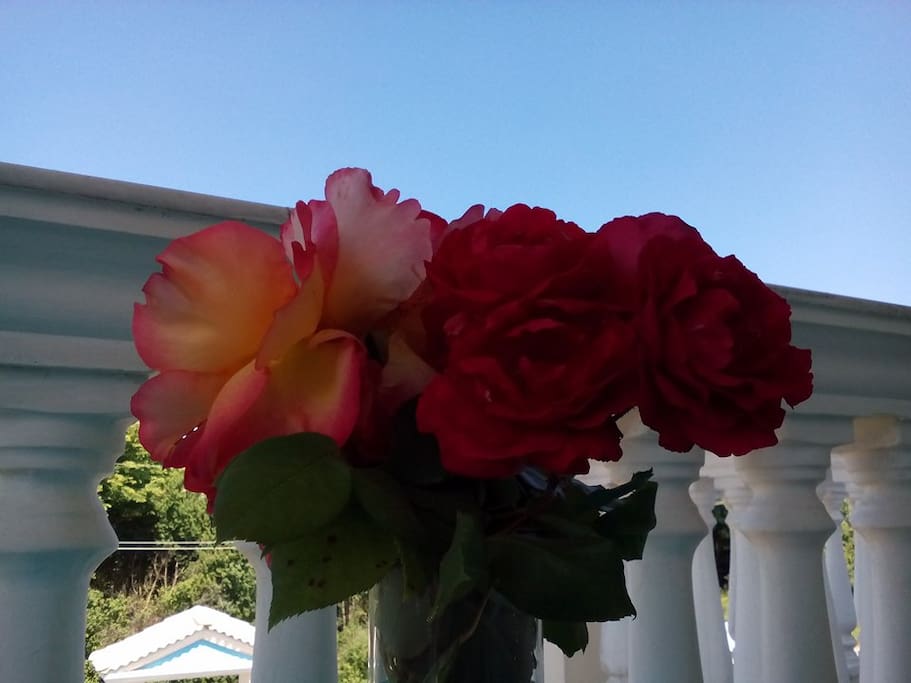 Roses from the garden.