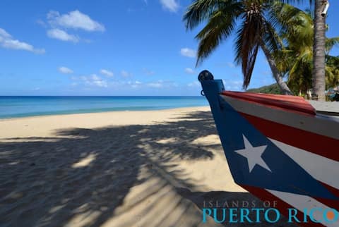 PUERTO RICO VIBES @ ISLA VERDE