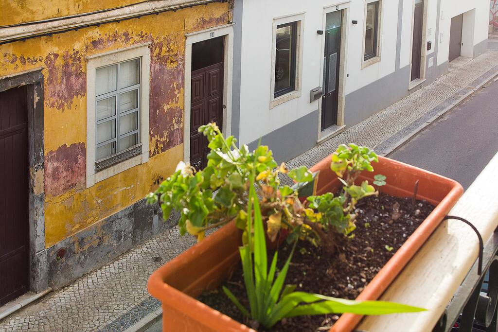 Street view from the balcony