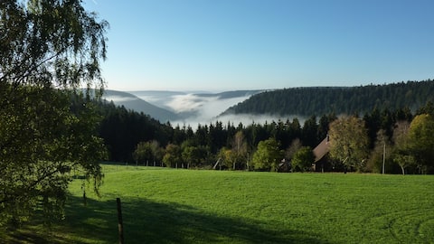 Black Forest Appartment with a beautiful view