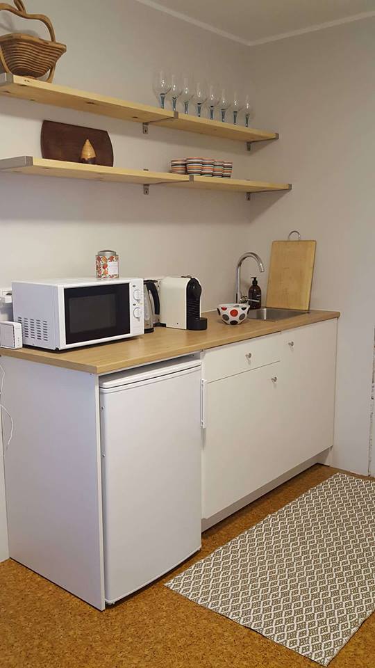 The kitchen area features a compact countertop equipped with a microwave, toaster, coffee machine, and refrigerator. Shelves above hold an arrangement of glasses and dishes. The floor is adorned with a textured rug, providing a cozy feel to the functional space.