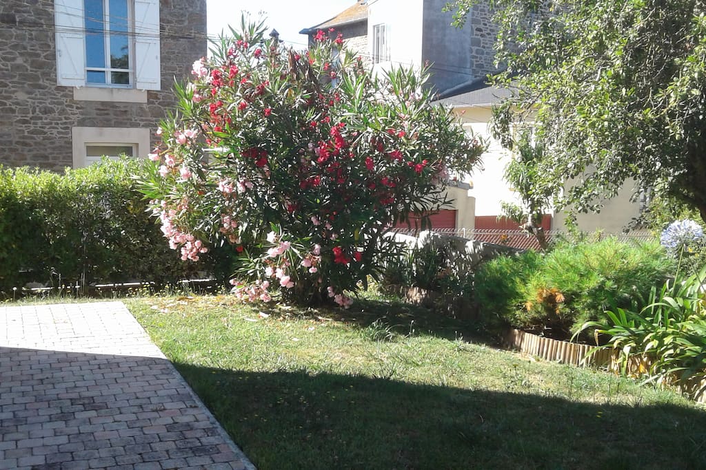 jardin