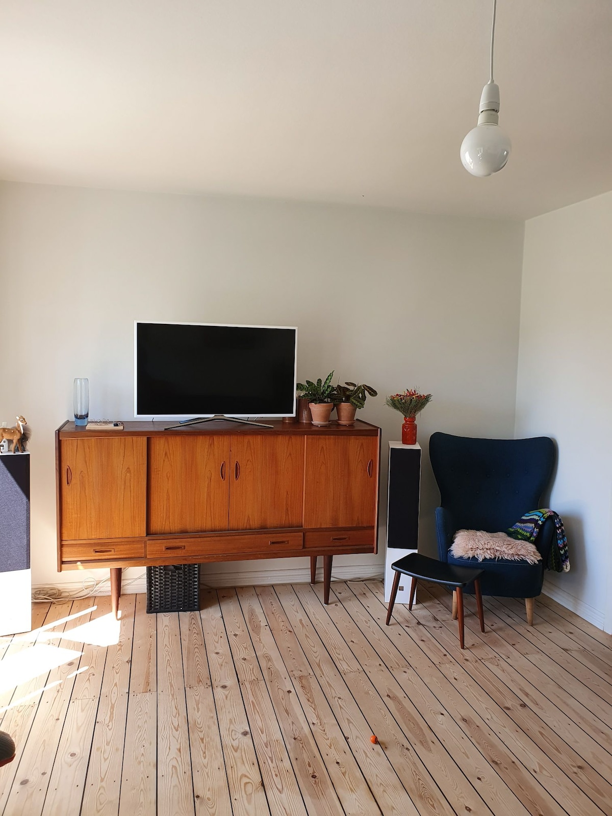 A living area features a wooden cabinet with a flat-screen television above. A blue armchair is positioned nearby, complimented by a throw. Potted plants decorate the cabinet, while natural light illuminates the light wooden floor.