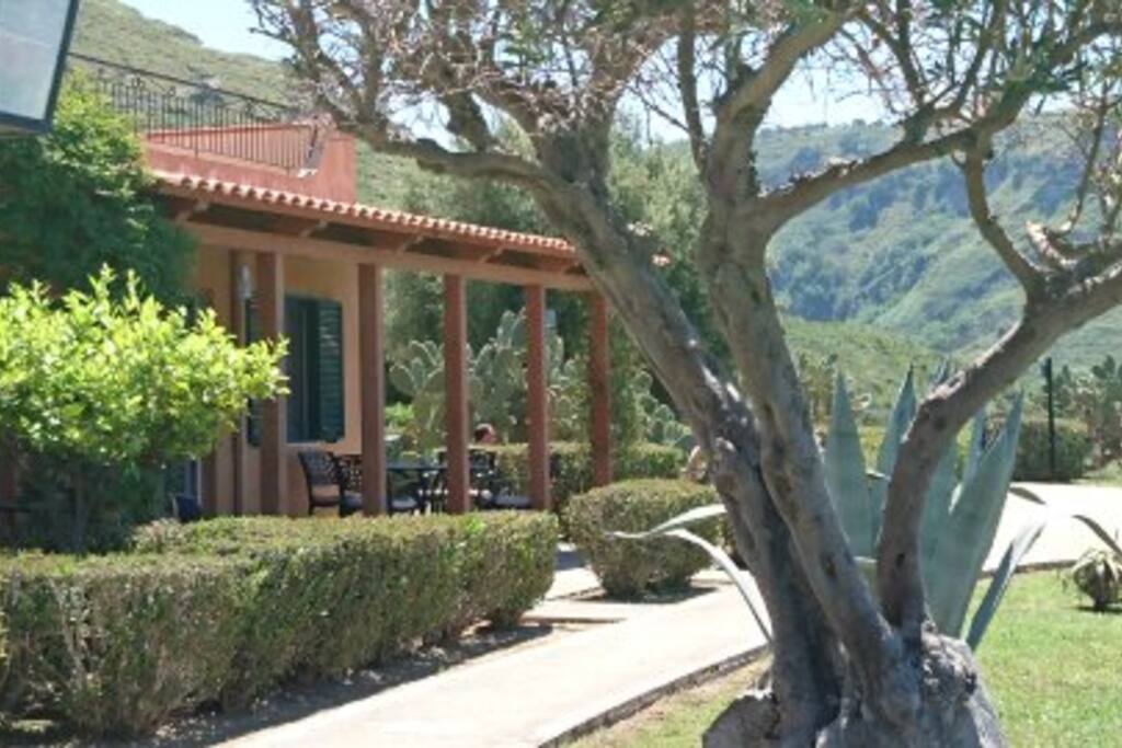 Portico to keep the sun off in the mid day sun.