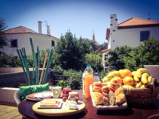 Airbnb Fatima Vacation Rentals Places To Stay Santarem