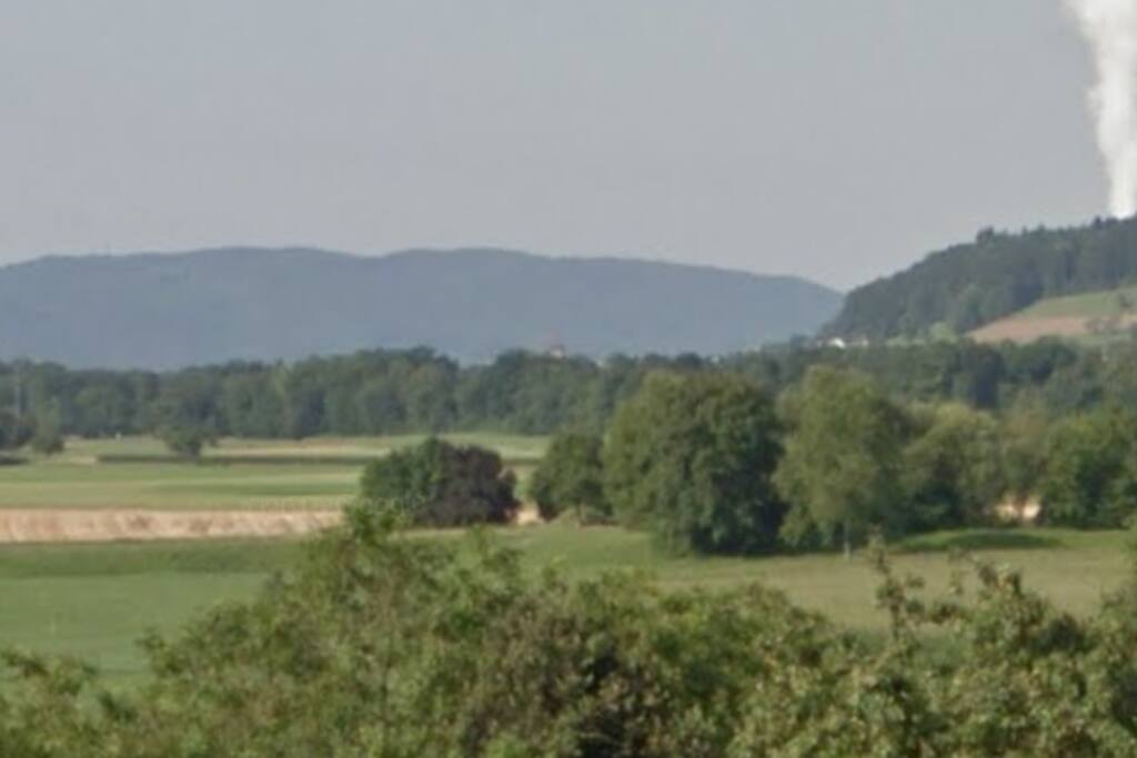 Wenige Gehminuten von der schönen Aare entfernt