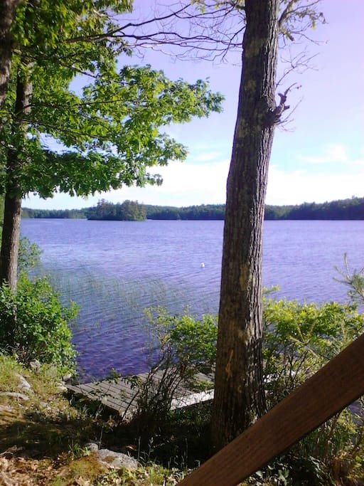 View of McCurdy Pond