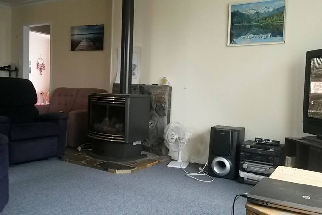 gas fireplace in the living room