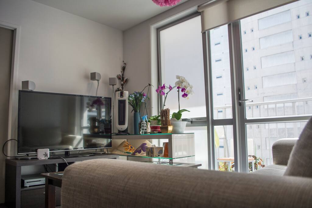 Living room with cozy couch