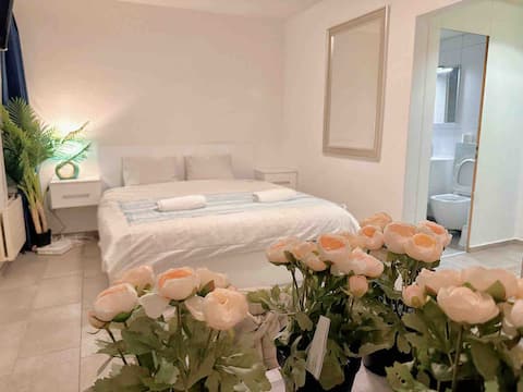 Successful Airbnb property: City center studio near HB/ETH in Hochschulen