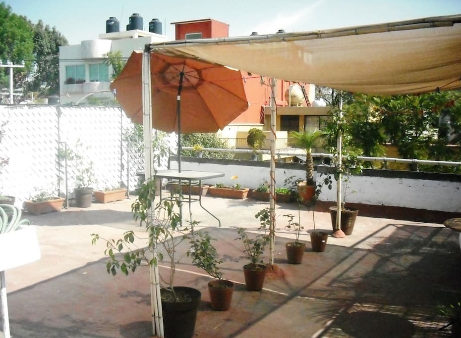 Terraza en la azotea