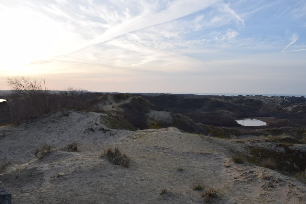 Dans les dunes du Westhoek