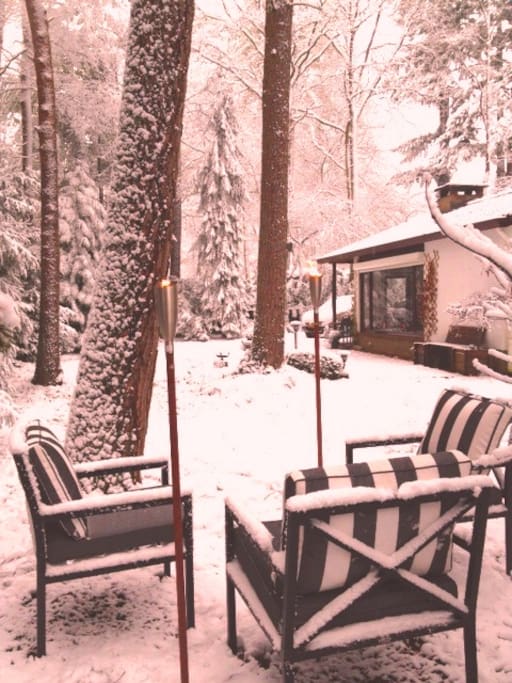 garden in winter time