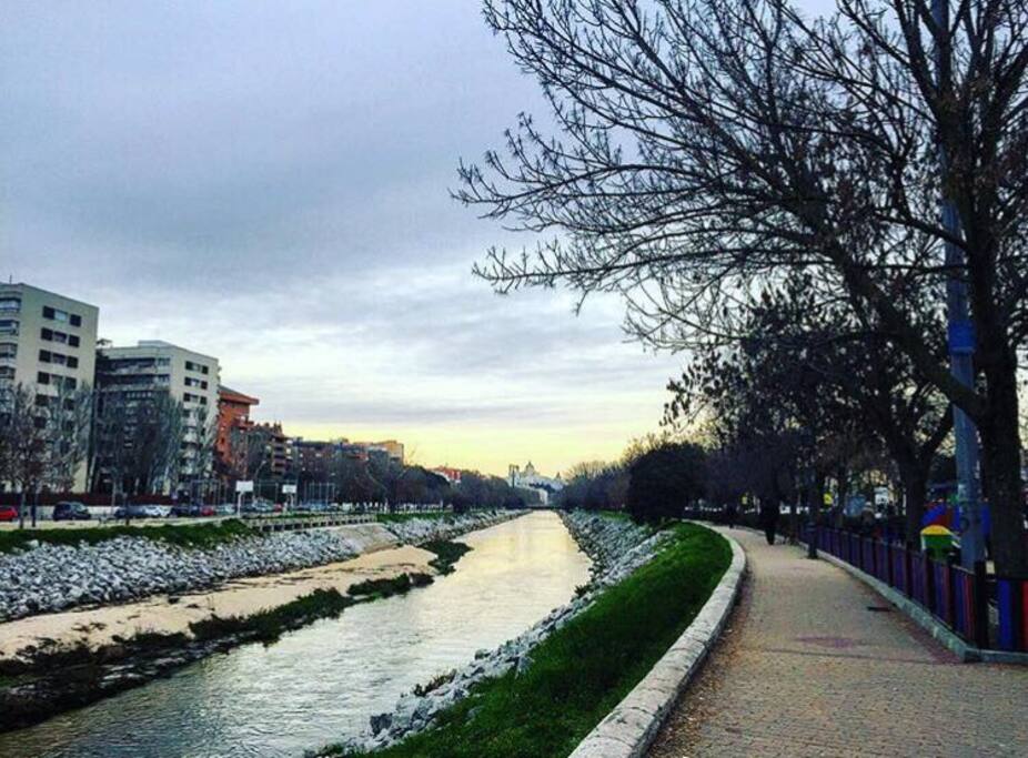 Vistas al proyecto "Madrid Rio"
Views of the "Madrid Rio Project"