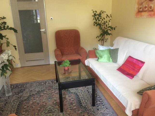 Pleasant accommodation in Wallachia