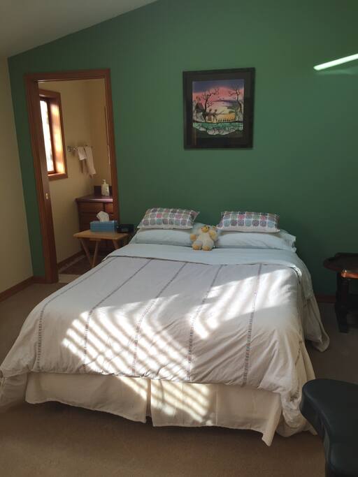 Bright bedroom with skylight, large closet, and private bathroom