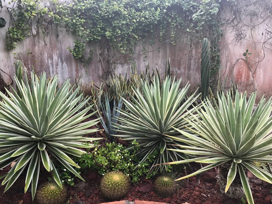 Explore the gardens