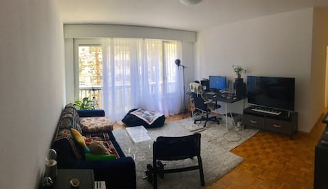 Successful Airbnb property: Peaceful Nest In The Heart Of Geneva in Champel