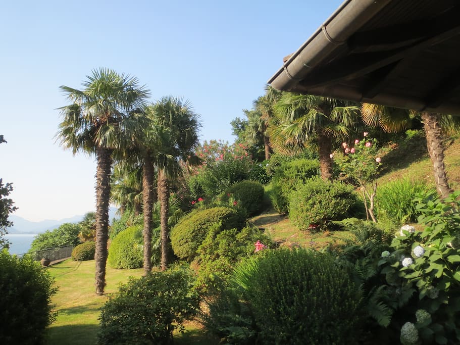 Garten Blick nach Stresa