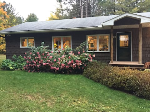 The Hideaway in the forest near Pictured Rocks!