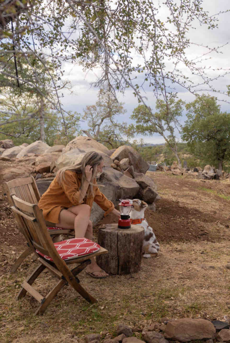 PRIVATE SPACE - Your Belle tent has a private shady oak tree and antique teak chairs. We are a dog friendly property and dogs can go off leash. (At your own risk.) at Bohemian Bell